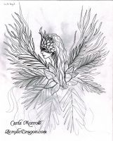 Wild Angel